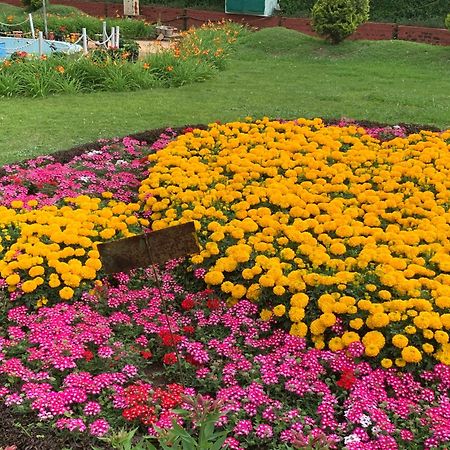 Kodai Pinetree Residency Tamilnadu - Tamilnadu - Kodaikanal Zimmer foto