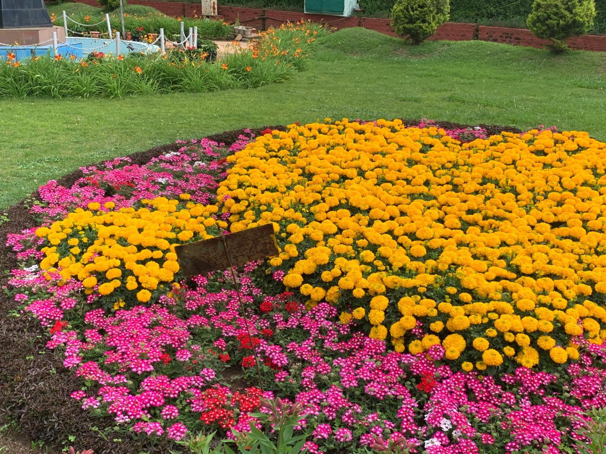 Kodai Pinetree Residency Tamilnadu - Tamilnadu - Kodaikanal Zimmer foto
